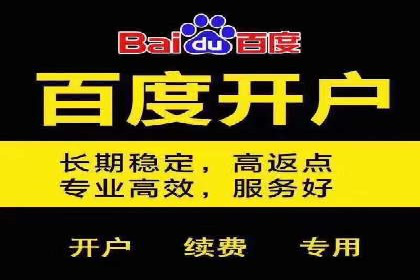 百度广告竞价与SEO结合的案例：某企业双管齐下的营销策略