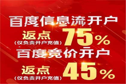 优化竞价SEM：成功案例分享